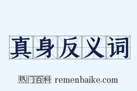 真身反义词是什么意思的图片